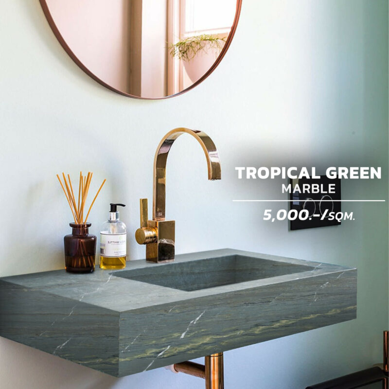 การออกแบบอ่างล้างหน้าด้วย Tropical Green Marble