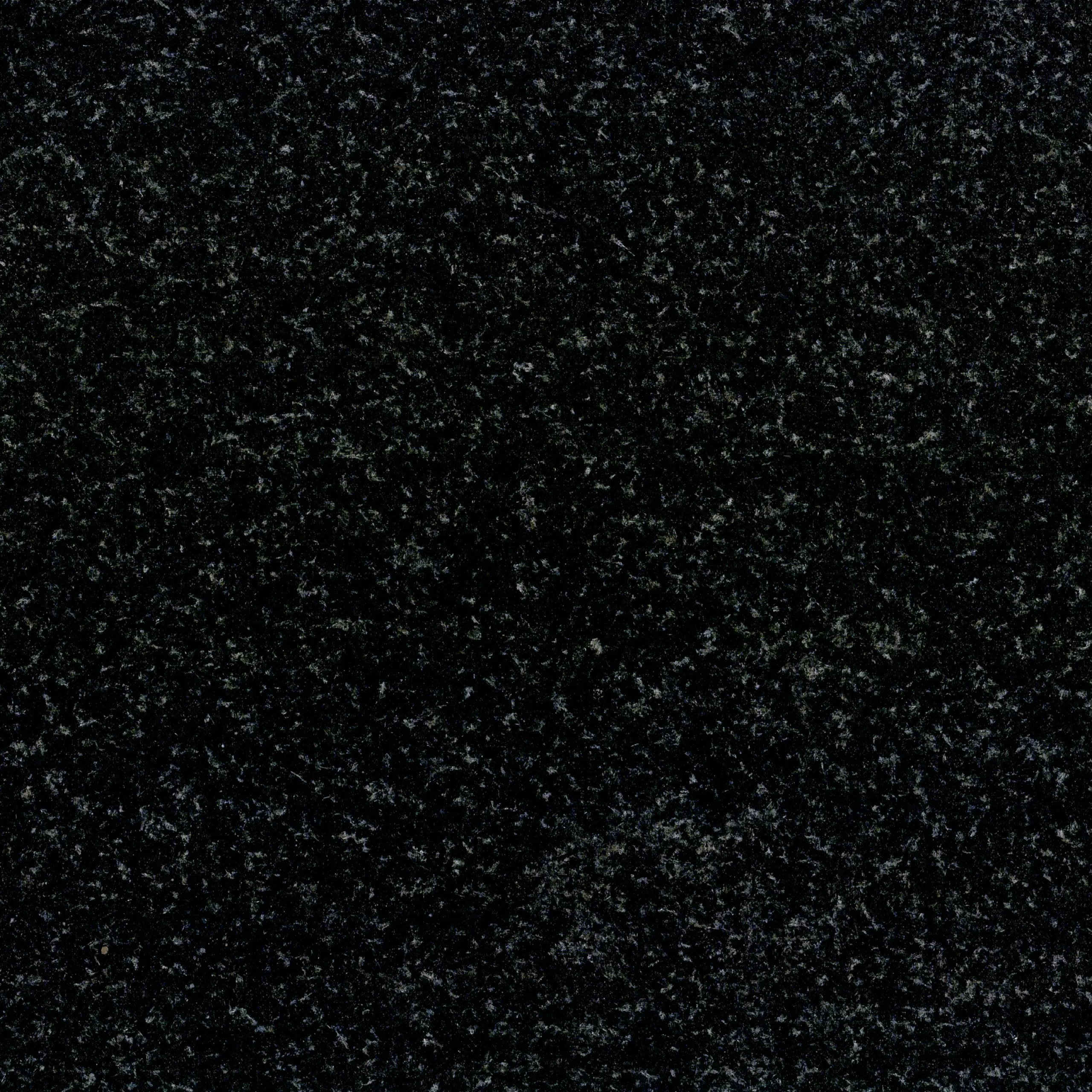 Indian Black scaled copy Indian Black scaled copy