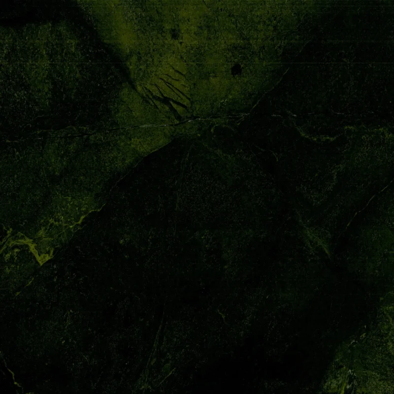 Avocatus2-web-scaled