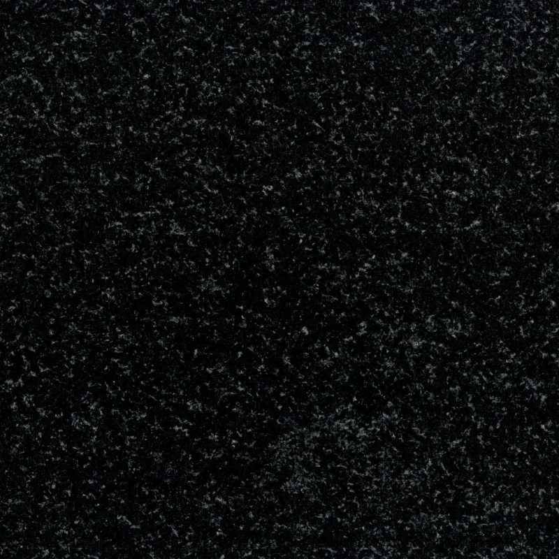 Indian-Black-scaled