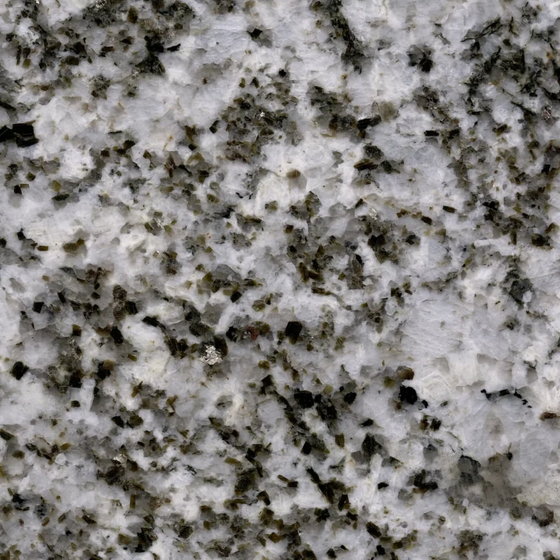 White-Alaska-web-scaled